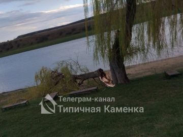 � ������� �������� ���������� �����������