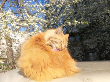 �������� ����. ���������� ����� ��� ��������, ������ �� ������� � ����������� �������