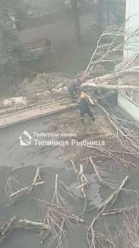 ����������� ���������� ����� � ������� ������������� ����� ��� �����