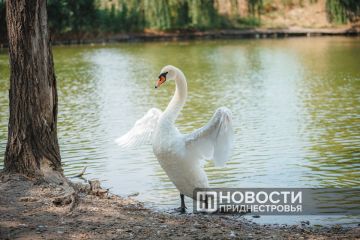 Цифра дня: в марте в Приднестровье приехало в 1,8 раза больше иностранных туристов, чем в феврале