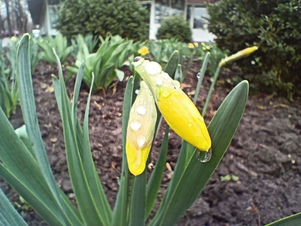 7 ������ ��������� ���������� ����������, ����� ������� ��������������� �����, �������� �����, ���� ��� �������