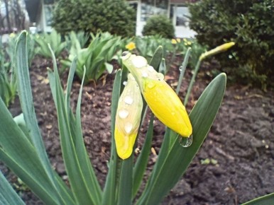 7 апреля ожидается переменная облачность, ночью местами кратковременный дождь, возможна гроза, днем без осадков