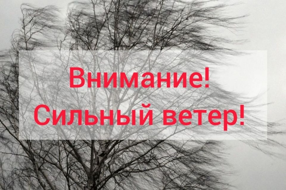 ��������: ������� �����!. 7 ������ ���� ��������� �������� ������-��������� �����