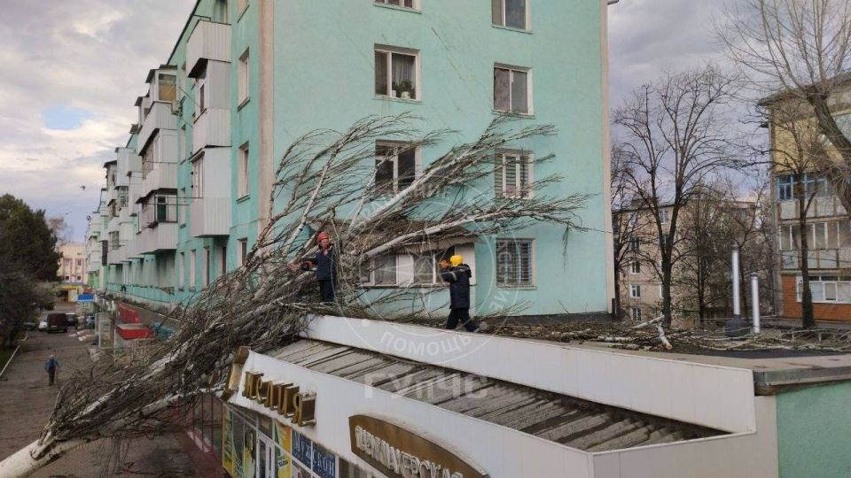 ����������� �������� � ��������� � ��������� �������