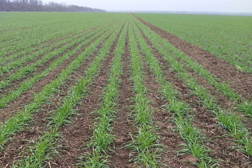 ���������� ���������� ���������������� ��� ���������