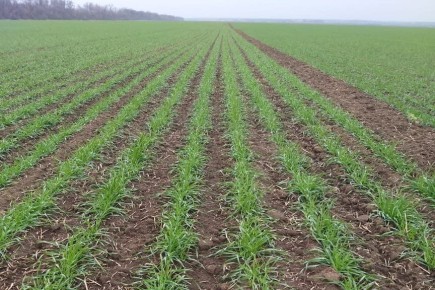 ���������� ���������� ���������������� ��� ���������