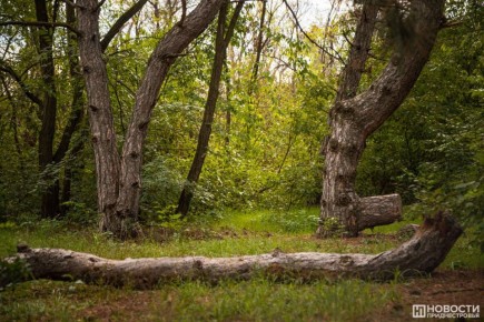 ������� � ������������� �� 2025 ��� ������������ ��������� ����������� ���