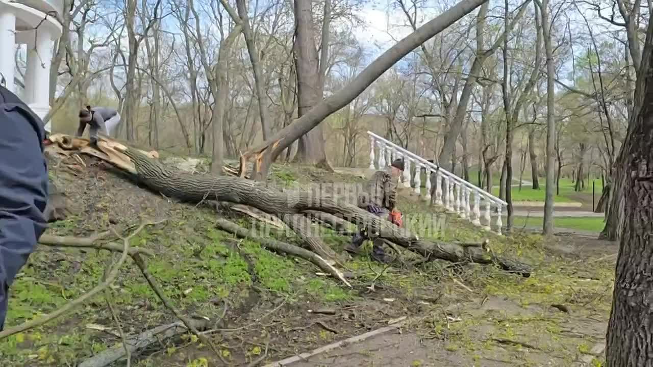 Каменские коммунальщики приводят в порядок парк Витгенштейна