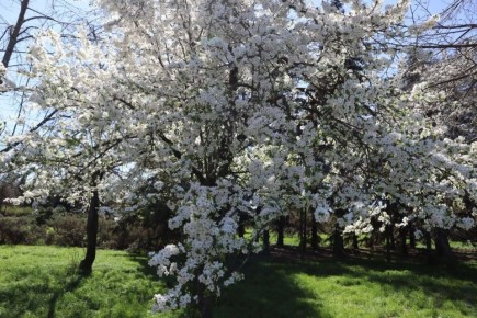 ����� ������ ����� � ��������� ���������