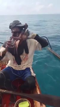 �� ���������� ��������, ��������� �������, �������� ��� � ���� � �� ����� ���������