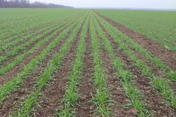 Соблюдение земельного законодательства под контролем