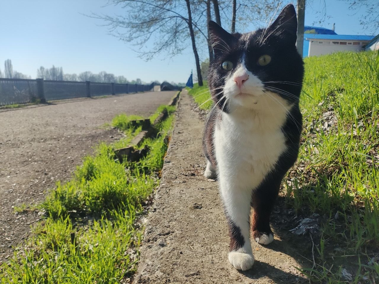 8 апреля ожидается облачная с прояснениями погода, местами