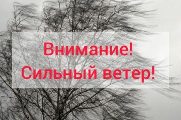 ��������: ������� �����!. 7 ������ ���� ��������� �������� ������-��������� �����