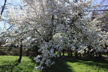 ����� ������ ����� � ��������� ���������