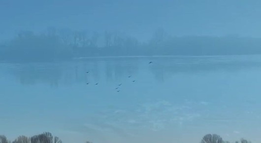 Весенний Днестр у Бендер наполняется живым пением птиц, создавая особую атмосферу тишины и природной гармонии