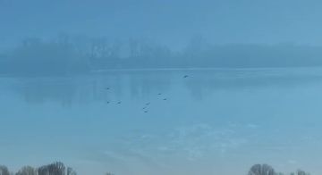 �������� ������ � ������ ����������� ����� ������ ����, �������� ������ ��������� ������ � ��������� ��������