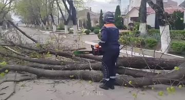 ����������� ��������. ����� ������� � ������� ����� � ���������� �������� ������� ���������� �����, ������� � �����