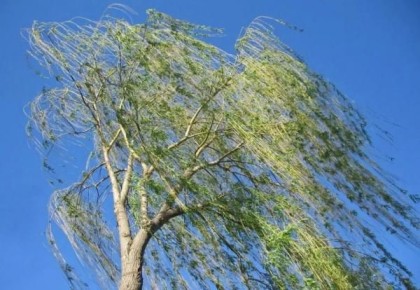 Штормовое предупреждение. Сегодня, 8 апреля, в течение дня по республике местами ожидаются порывы северо-западного ветра до 15 м/с