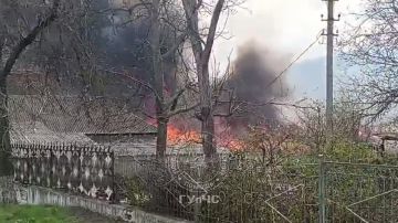 15 гектаров камыша у Днестра (целая экосистема) сгорело в селе Бутучаны Рыбницкого района