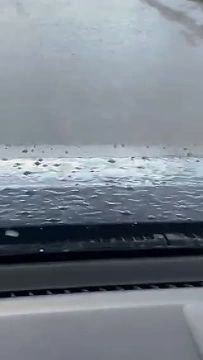 ���� �������� �� ������