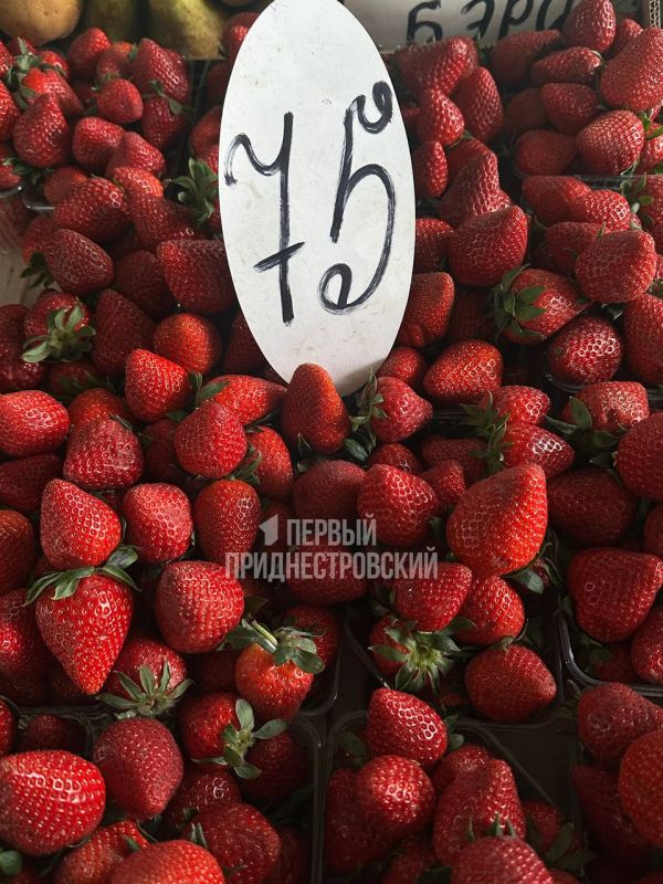 �������� �� ������ ������ �� 75 ������