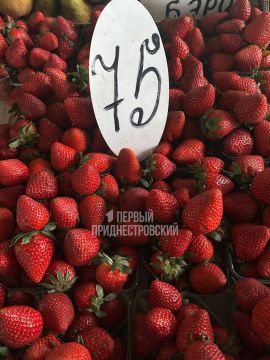 �������� �� ������ ������ �� 75 ������