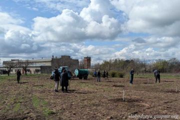 В поселке Первомайск продолжаются мероприятия по озеленению в рамках месячника по благоустройству
