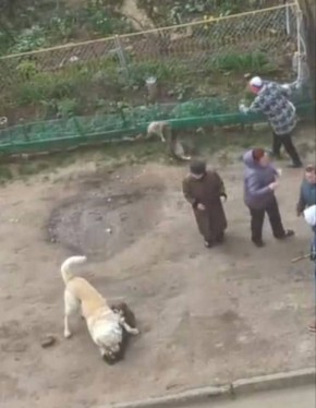 � ��������� ������ ����� �� ��������� �� ����� ����������� �� ������� ��������