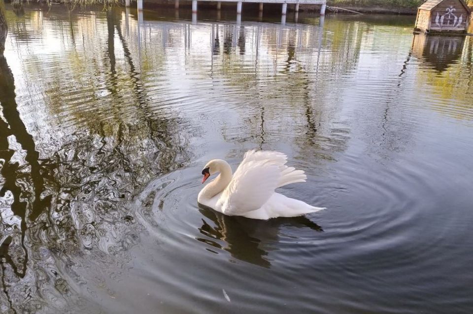 ������� ������ �� �������, 9 ������