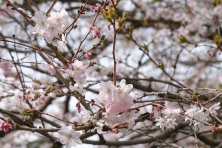 ���������� ������ �������� � ����������, �� ���������� �������� ������