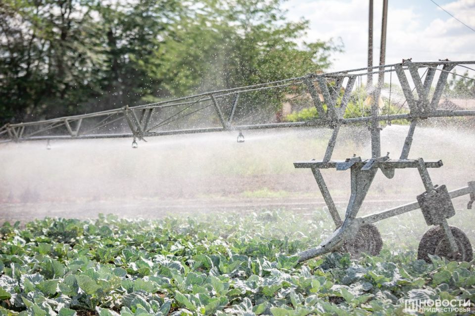 �������� ��������� ������������� ��������� ������������, �� �������� � �������� ����������� ���������������� � ����������������� ������� ����� 2025 ����