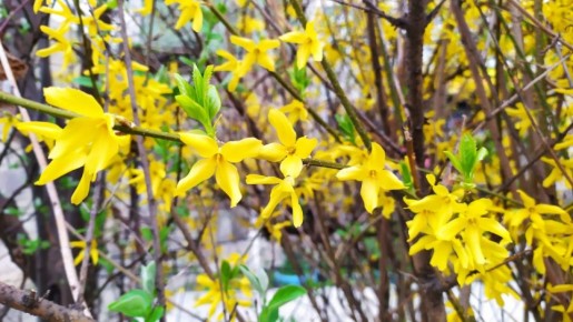 ������ ������ �� �������� ����������� �������������