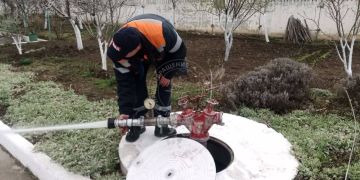 � ���������� ������������ �������� �������������