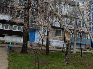 В Днестровске дерево угрожающе нависает над двором пятиэтажки после вчерашнего ветра
