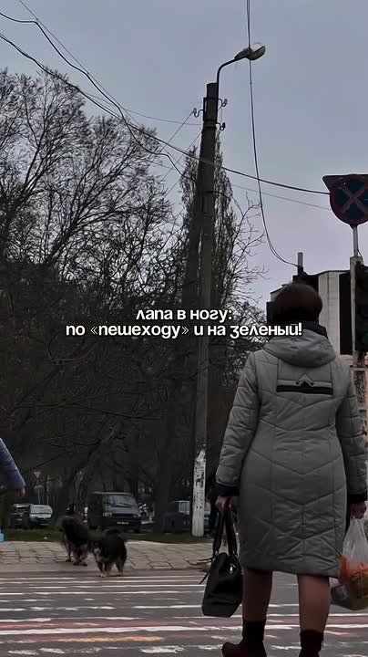 ����� ���� ������ ����� ������� ��������� ��������