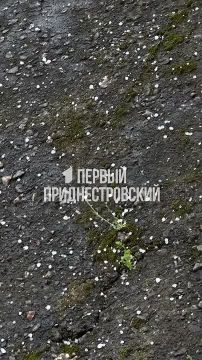 � ��������� ����� ���� � ����� ���� ����� ��� ����������