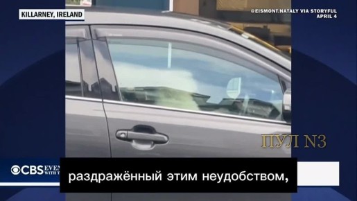 �� �������� �� ��������� �� ������������ ������� � �������������� ����� �� �������, �� ���������� ���������. �, ���� �� �����, � ��������� ���������� ��� ������ ��������� ����� �� ������ �������. ���� ����������, ���������...