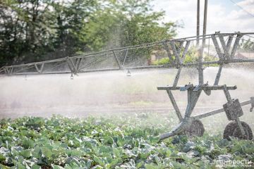 Сельское хозяйство Приднестровья сохраняет устойчивость, но работает в условиях нарастающей неопределенности – Минсельхозприроды подвело итоги 2025 года
