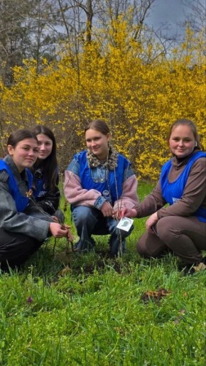 �������� ������� ���������� ���������������� ��������� � ������ ��� �������������� � ����� ���� ������