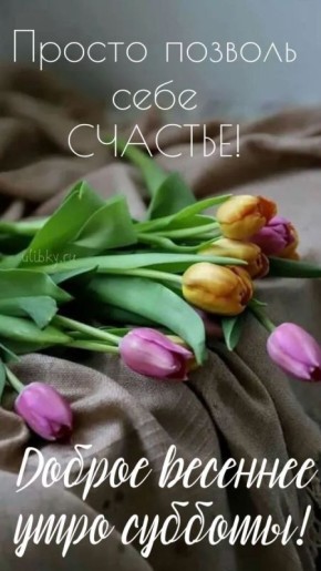 11 ������ - �� �������� ���� �������� �������