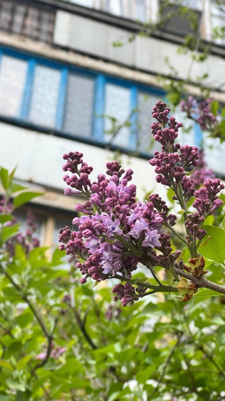 ������� �������: ����� ������������ � �������������