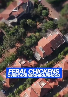 � ��� ������ ������������ ��������� ������� �����: