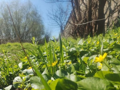 14 апреля ожидается переменная облачность, без осадков