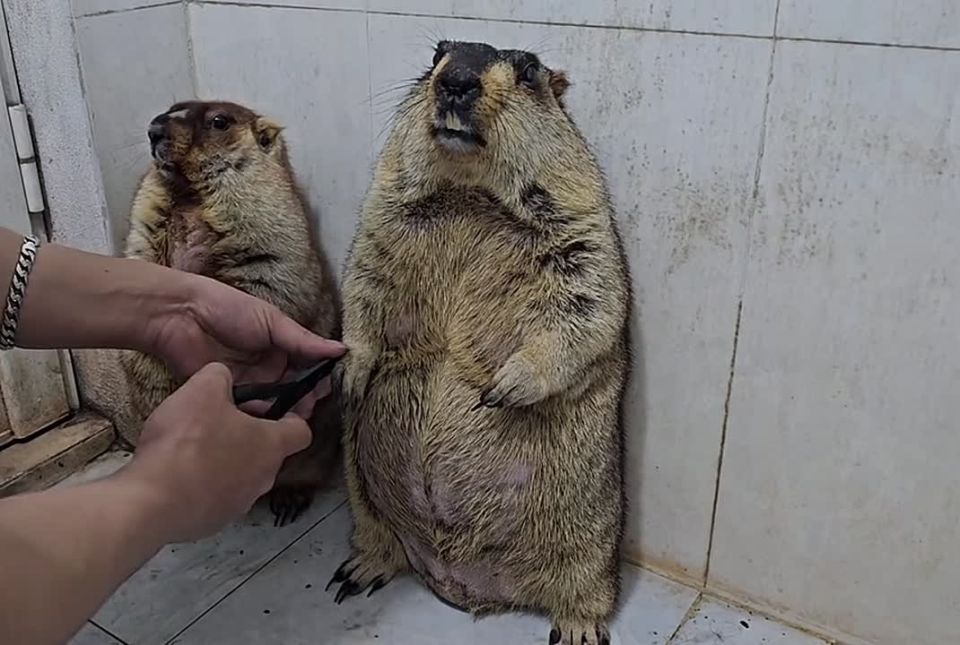 ���� ����� �������� � ����� ������ ������� ������ (�� �� � ��������), � ������ �����, ������� ��� ����� ������� � ������� �� ������ � ����������� ��� ������ ������ �������