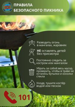 Памятка для тех, кто захочет приготовить шашлыки дома или на природе