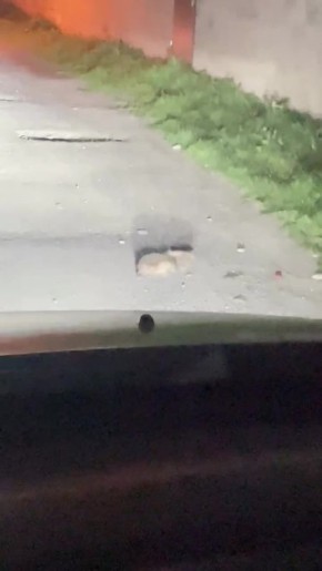 ������� ����� ������ ������� � ��������� � ��� ������� ������� ��������� �� ������ � �� �� ��� �� �����������