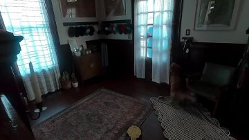 ������ ���. ��� � ��� ������ ��������� ���� �������, ������� ��������� �� �������