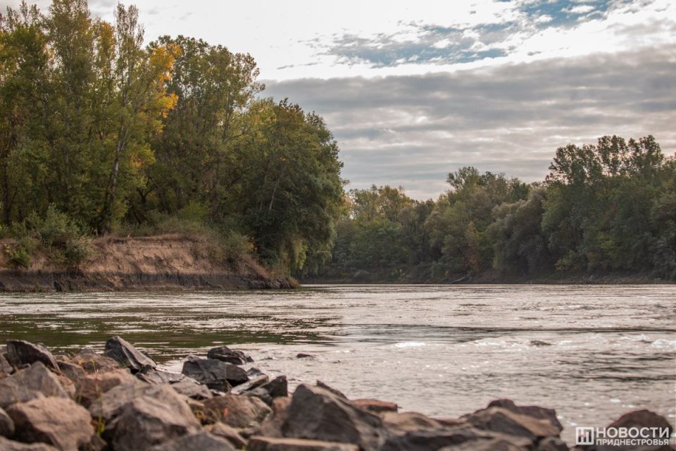 �� ���� ������ ������� � ���� ���������� ������