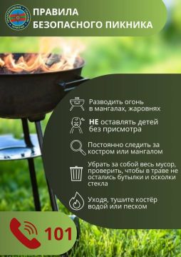 ГУпЧС напоминает о правилах безопасности в сезон пикников