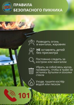 ГУпЧС напоминает о правилах безопасности в сезон пикников